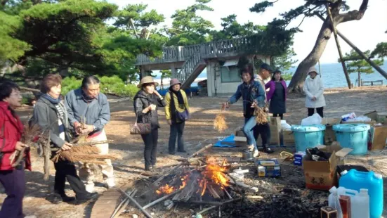 阿久根大島