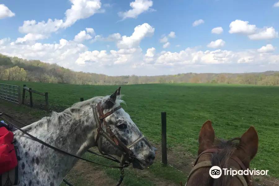 The Spotted Horse Ranch