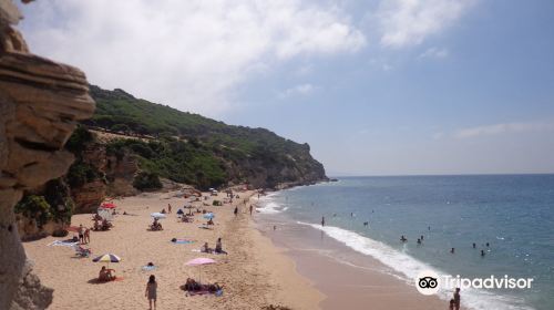 Playa El Palmar