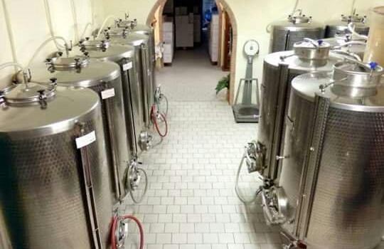 cantina stella