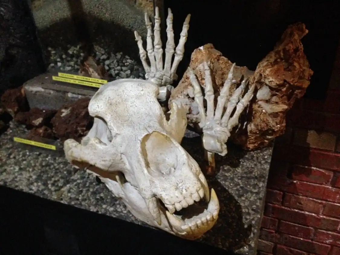 Hotel in zona Speleovivarium