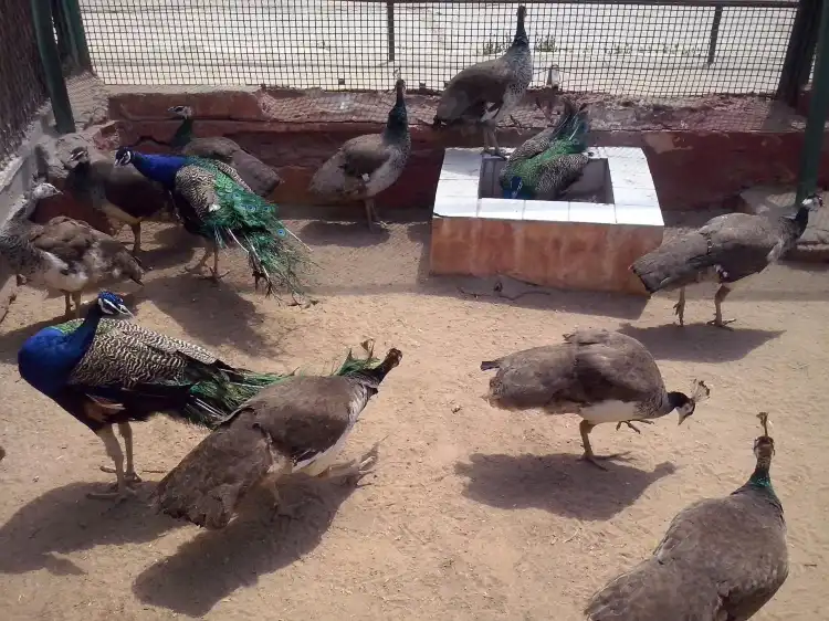 Các khách sạn gần Alexandria Zoo
