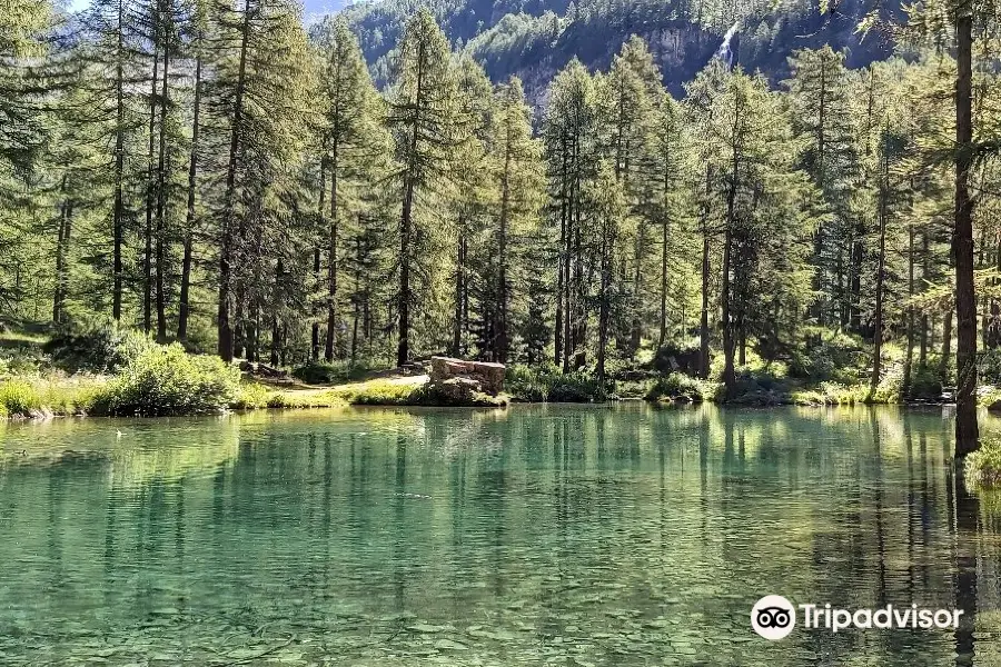 Lago Pellaud