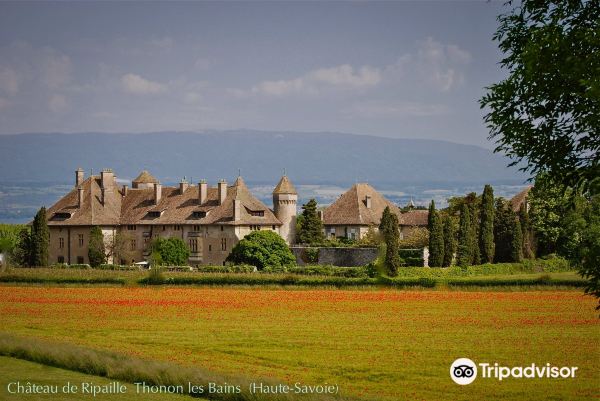 Château de Ripaille, jardins, vignobles