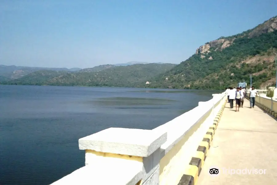 Kalyani Dam
