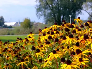 Seeburg Park