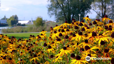 Seeburg Park