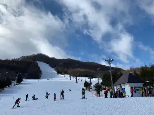 Echo Valley Ski Area