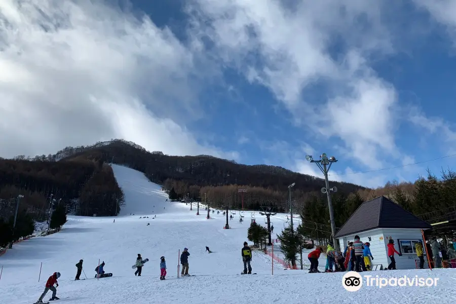 Echo Valley Ski Area