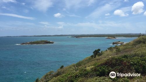 Great Bird Island