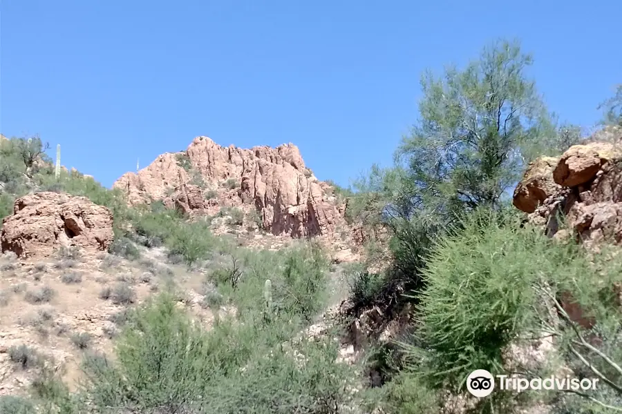 Arizona ATV Adventures