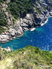 Camogli - San Rocco - Batterie - San Fruttuoso Trail