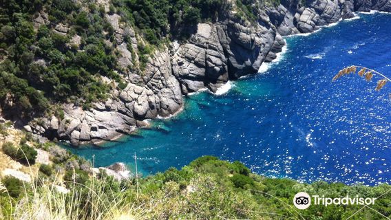 Camogli - San Rocco - Batterie - San Fruttuoso Trail