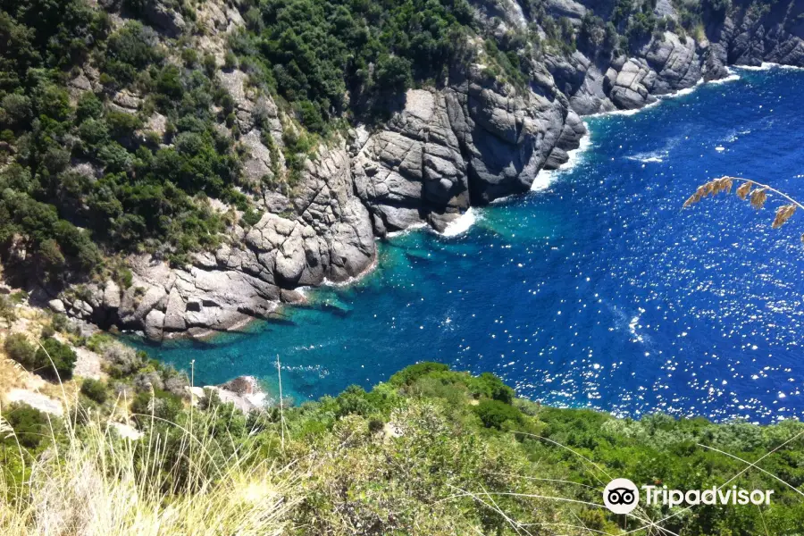 Camogli - San Rocco - Batterie - San Fruttuoso Trail