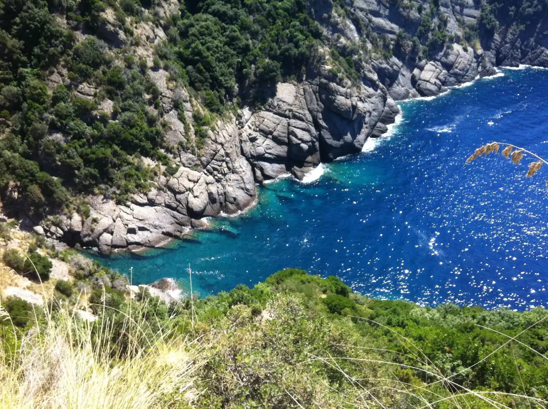 Hotels near Camogli - San Rocco - Batterie - San Fruttuoso Trail