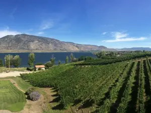 La Stella Winery