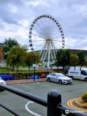 Wheel Of Liverpool