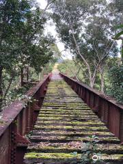 Yungaburra Platypus Viewing Platform