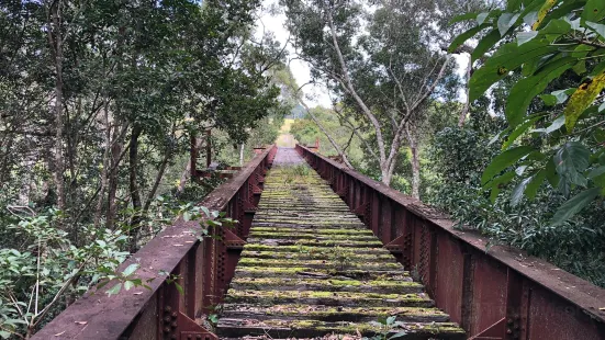 Yungaburra Platypus Viewing Platform