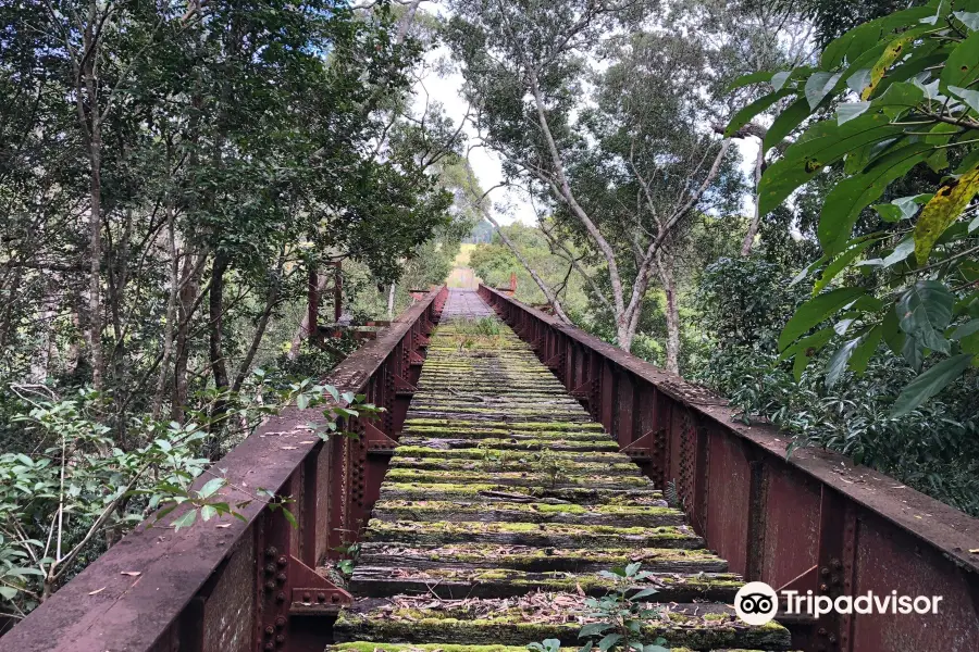 Yungaburra Platypus Viewing Platform