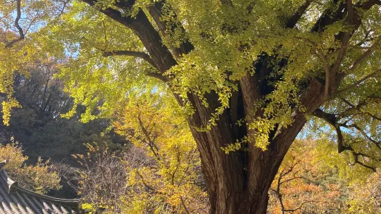 운곡서원