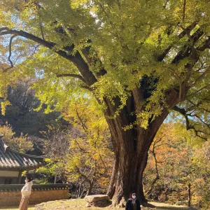운곡서원