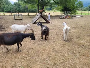 Ferme Pédagogique - Les Jours Heureux