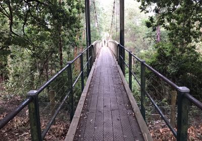 Loch Suspension Bridge