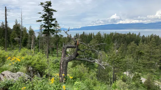 Wayfarers / Flathead Lake State Park