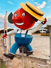 Gayndah's Big Orange