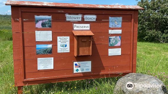 Mowry Beach Preserve