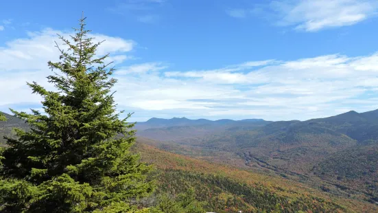 Welch Mountain and Dickey Mountain Loop