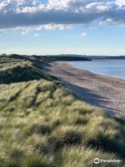 Warkworth Beach