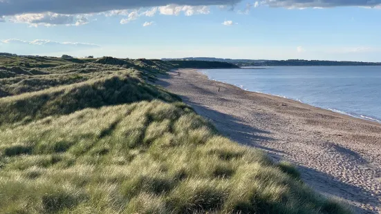 Warkworth Beach