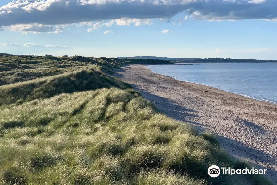 Warkworth Beach