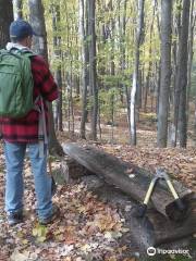 Lake Bluff Bird Sanctuary