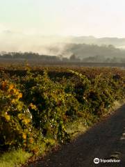 Bacigalupi Vineyards & Winery