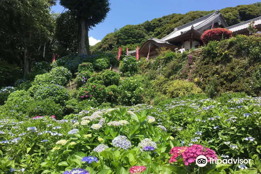 杉岳山不動尊大聖寺