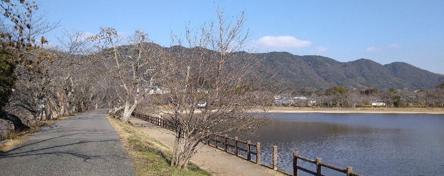 Tachioka natural park