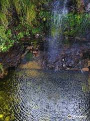 Santuario Ecologico Vale Dourado