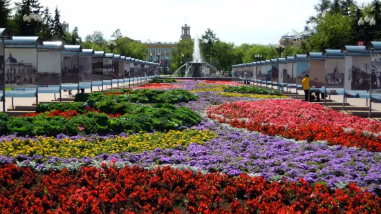Kirov's Park