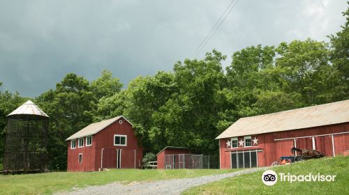 Weaver-View Farms