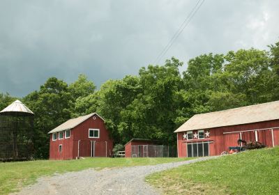 Weaver-View Farms