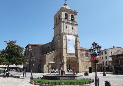 Colegiate of San Miguel