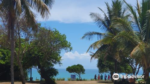 Praia dos Coqueiros