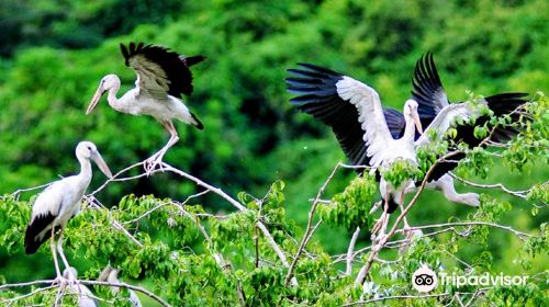 松芽 鳥類生態旅遊區