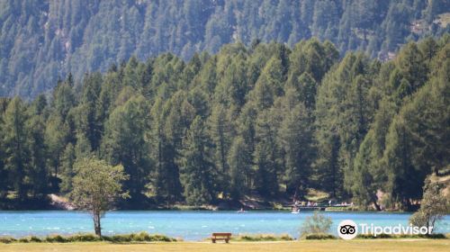 Lake Sils