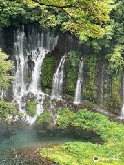 白糸の滝 （富士吉田）