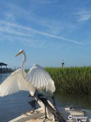 Kingfisher Charters