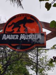 Dominican Amber Museum